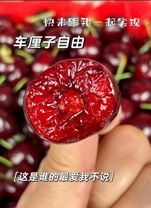 【澳洲维多利亚顶级车厘子】准备好迎接来自南半球的甜蜜惊喜了吗？红宝石般的果实，正搭乘着最快的航班，穿越云端，只为与你相遇！🛫💨1kg装澳洲车厘子 商品图0