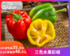 【三色水果彩椒】小身量，营养多！一款适合中国人体质的水果彩椒!拿它来当饭后水果都没问题!-QDMN 商品缩略图0