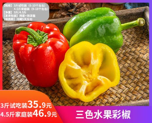 【三色水果彩椒】小身量，营养多！一款适合中国人体质的水果彩椒!拿它来当饭后水果都没问题!-QDMN 商品图0