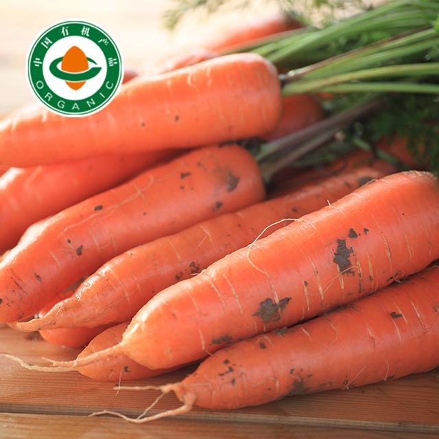【妙耕自种】有机水果胡萝卜红萝卜有机认证 5斤装