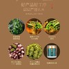 【福东海】石斛100克（霍山）/瓶 100克 商品缩略图3
