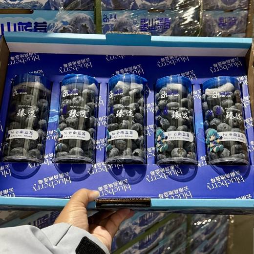 云南雪山蓝莓【18mm+ 大果】脆甜，花香味浓！ 商品图7