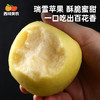 【甄选】瑞香红 三拼苹果 一次吃到多种风味 瑞雪 瑞香红 红富士  顺丰包邮 口感清脆 甜度高 清爽多汁 果味浓郁 商品缩略图5
