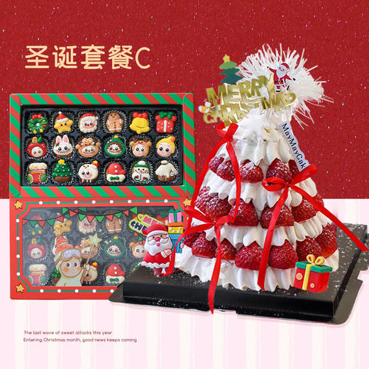 圣诞套餐C 商品图0