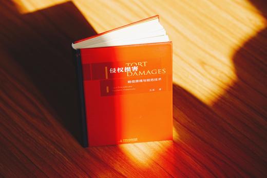 《侵权损害：赔偿原理与规范技术》赠讲座 商品图5