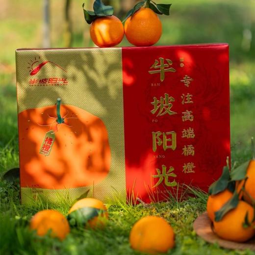 【顺丰快递】半坡阳光｜冬见·红美人 2.0智能分级测糖时代真正的树上自然成熟 重新定义眉山果冻橙 ABPYG 商品图5