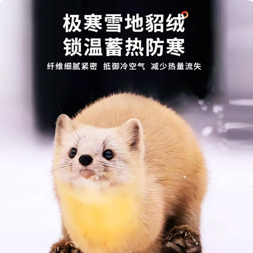 雪中飞貂绒蚕丝100%羊毛光感保暖裤  800g巨厚 高弹不勒 暖宫护腰 保暖显瘦 82402 商品图2