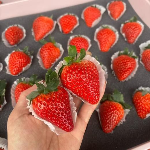 【🍓丹东红颜九九草莓🍓】  精挑细选9甜1酸 乒乓球一样大的草莓 商品图5