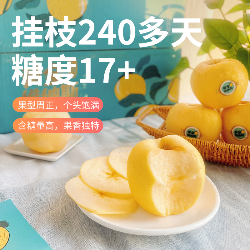 苹果界果王-黄金维纳斯