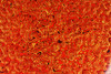 三希堂  流霞系列  经典大漆茶罐 商品缩略图3