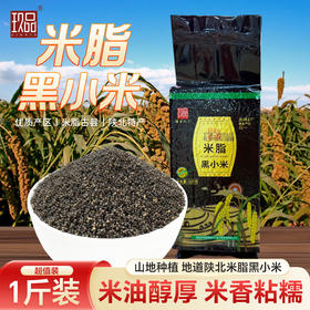 陕北米脂黑小米/黄小米500g起真空袋装杂粮粥当季农家米脂新米