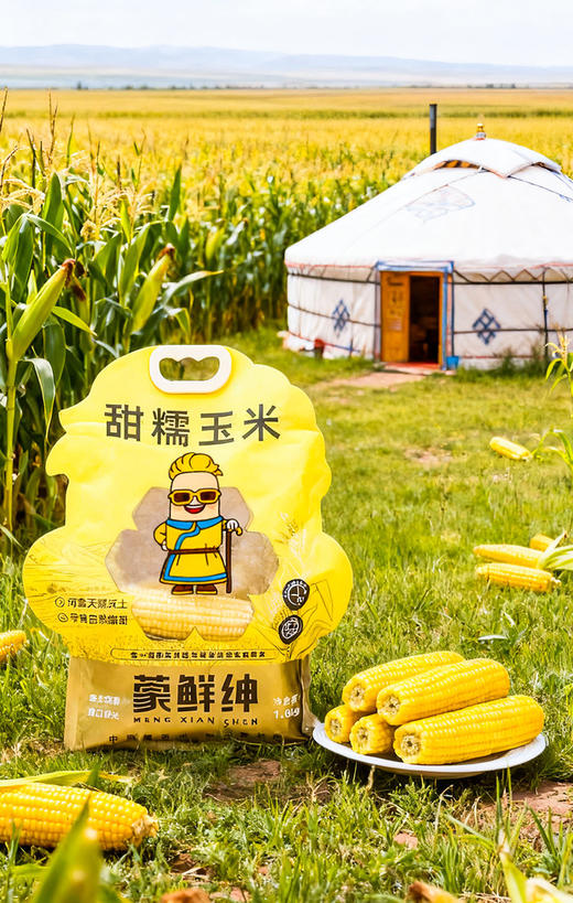 【风味人间】内蒙古特产 甜糯玉米有机糯玉米 来自河套平原黄金玉米带 口感甜糯 商品图2