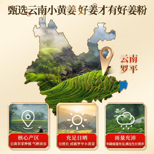 仲景云南小黄姜食用干姜粉三伏天泡水冲饮单条装正品 商品图1