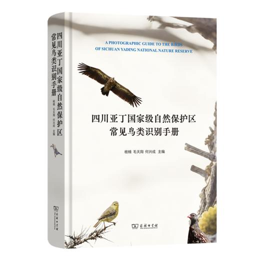 四川亚丁国家级自然保护区常见鸟类识别手册 商品图0