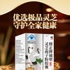 修正 破壁灵芝孢子粉胶囊18g 手术后增强免疫营养礼品0.3g/粒*10粒/板*3板/袋*2袋/盒 商品缩略图0