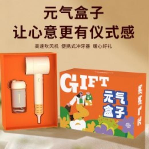 和正元气盒子HZ-BOX-8（1个吹风机+1个便携式冲牙器） 商品图6