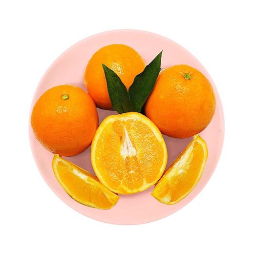 雷波脐橙4粒 900g/份  橙子 商品图0