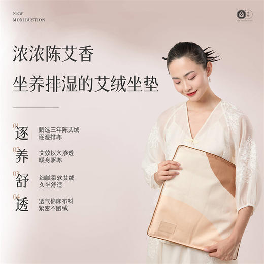 艾修堂三年陈艾绒无烟电加热敷艾叶艾草坐垫艾灸椅子臀部私处办公室家用【可拆卸清洗】新升级蕲艾绒坐垫 AP-C1 商品图0