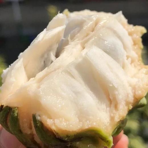 凤梨释迦果 ， 水果届的甜蜜代表，一口便能俘获你的味蕾，伴着热带的风情！ 商品图1