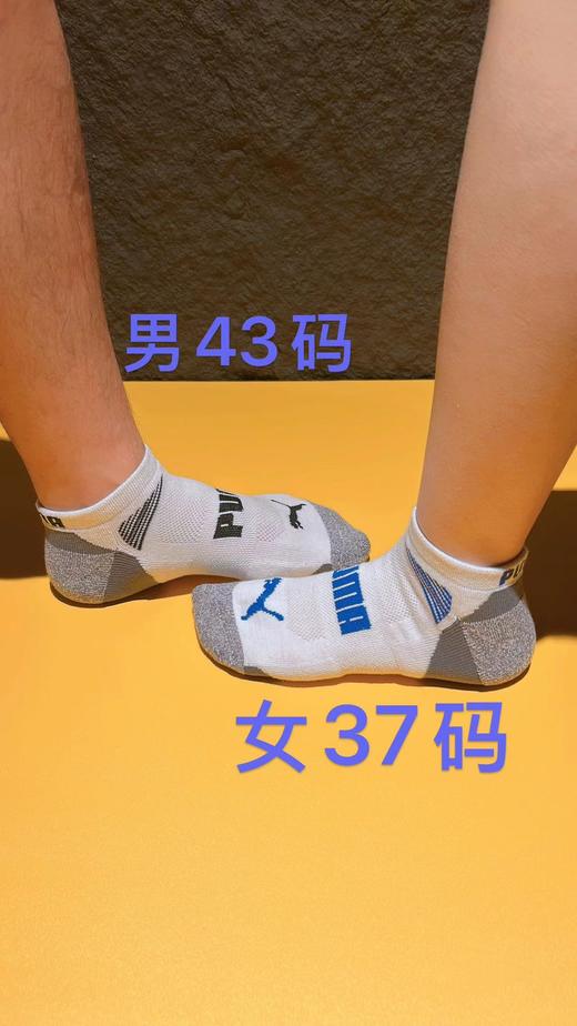 D120841无骨网眼设计一卡8双男士毛巾底短袜 商品图12