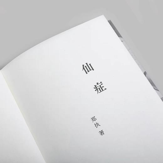 签名版｜郑执《仙症》（2025典藏版） 商品图1