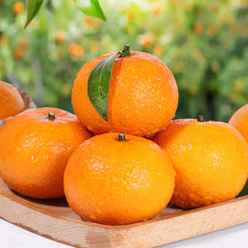 【精选品质】探味君 广西武鸣沃柑 净重4.5斤 香甜多汁