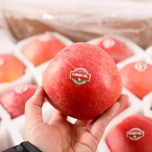 冰糖心苹果，正宗阿克苏苹果，认准红旗坡六队®，来自核心产区 商品图3