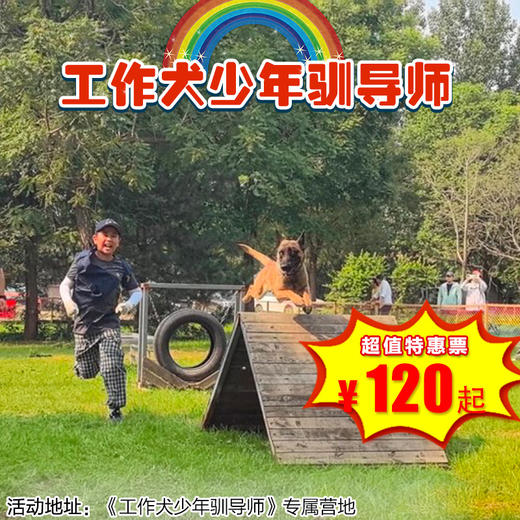 【半日营·1月1日-1月31日】《工作犬少年驯导师》+与警犬并肩战斗+功勋犬纪念+互动科目展示 ，打造完美《工作犬少年驯导师》课程！ 商品图0