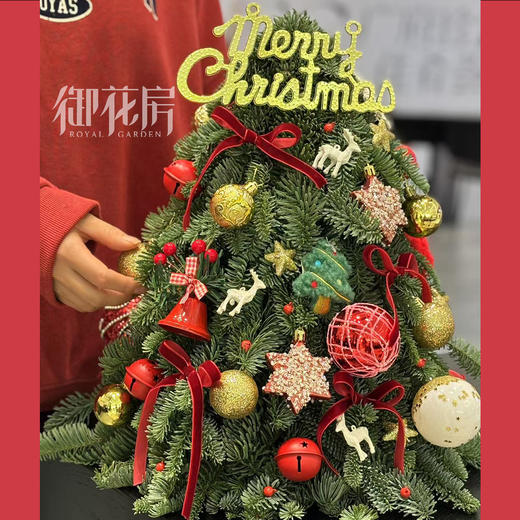 诺贝松圣诞树 商品图4