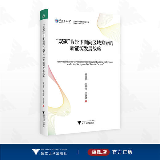 “双碳”背景下面向区域差异的新能源发展战略/华北电力大学/哲学社会科学繁荣计划专项/哲学社会科学文库/董福贵 李婉莹 王佩君 著/浙江大学出版社 商品图0