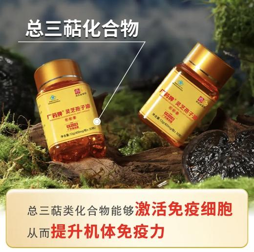 广药牌灵芝孢子油软胶囊400mg/粒*30粒*瓶增免疫送礼 商品图8