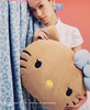 抱枕盖毯二合一！野兽家×Hello kitty联名法兰绒多功毯抱枕毯 居家办公室披肩午睡毯车载玩偶 圣诞新年礼物 商品缩略图0