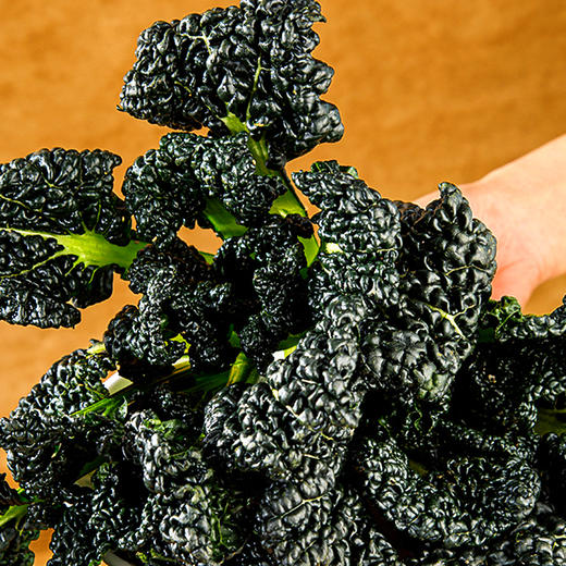 『湖北随州泡泡青』皱叶黑白菜，饱满柔嫩，叶肉厚实，叶泡墨绿，清新爽口，现摘现发 商品图7