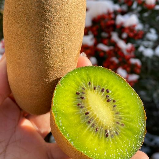 金手指猕猴桃 商品图4