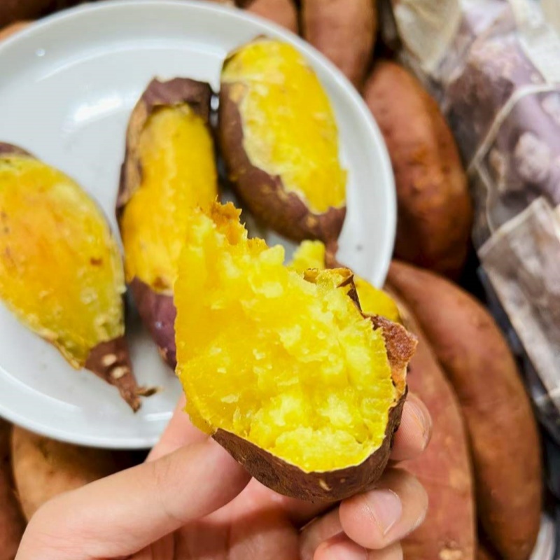 云南榴莲蜜薯鸣门金石蜜薯3斤/5斤 香甜软糯