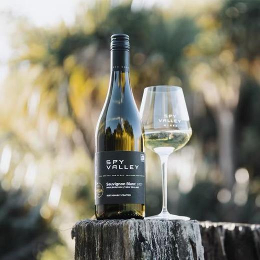 碟谷新西兰马尔堡长相思白葡萄酒750ml清新果香口感醇厚 商品图2