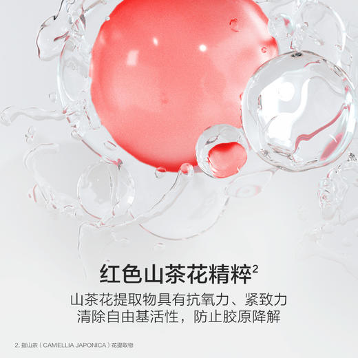 韩束山茶花紧致弹润奢享5件套礼盒-5354 下单送山茶花紧致弹润柔肤霜50g 商品图7