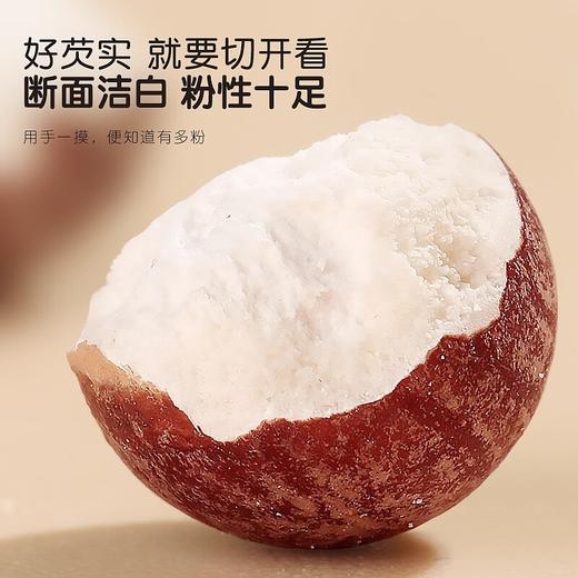 【福东海】芡实350克/瓶 商品图3