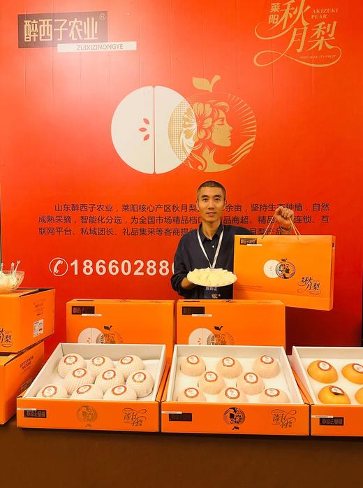 秋月梨 单颗8两以上礼盒品质果 脆嫩无渣 商品图6