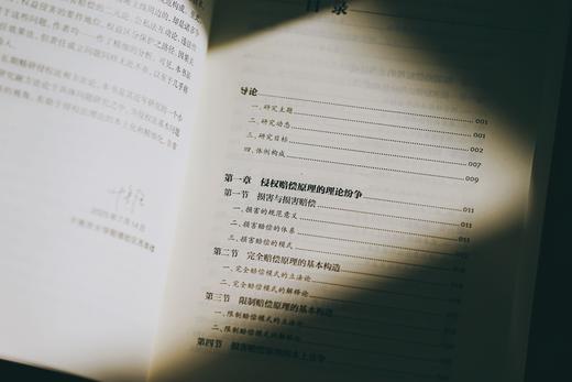 《侵权损害：赔偿原理与规范技术》赠讲座 商品图2