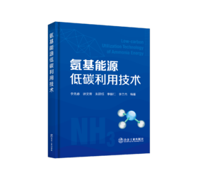 氨基能源低碳利用技术