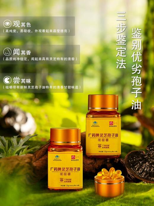 广药牌灵芝孢子油软胶囊400mg/粒*30粒*瓶增免疫送礼 商品图1
