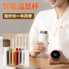 和正暖心礼盒HZ-OFFICE-6（1个多维度头部解压机+1个智能温显保温杯+2个艾灸罐+40个艾柱+40个胶贴） 商品缩略图4