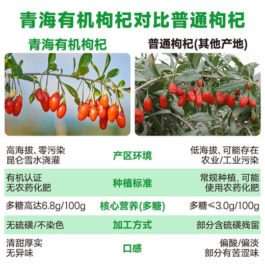 正记亿林有机枸杞100g 商品图4