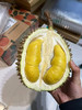 鲜猫山王榴莲，绵密丝滑像融化的黄油，甜中带点微苦还回甘 商品缩略图2