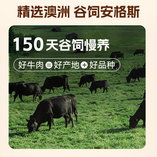 【超薄爆脆 高蛋白】袋鼠先生 澳洲安格斯牛排脆超薄牛肉片健身零食25g/袋 多种口味 商品图3