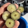 云南雪山蓝莓【18mm+ 大果】脆甜，花香味浓！ 商品缩略图2