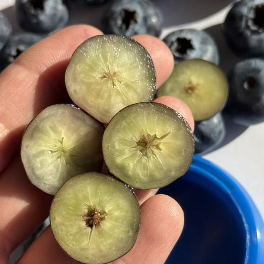 云南雪山蓝莓【18mm+ 大果】脆甜，花香味浓！ 商品图2