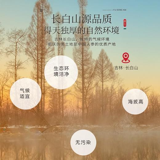【福东海】红参片 250克 瓶装 商品图4