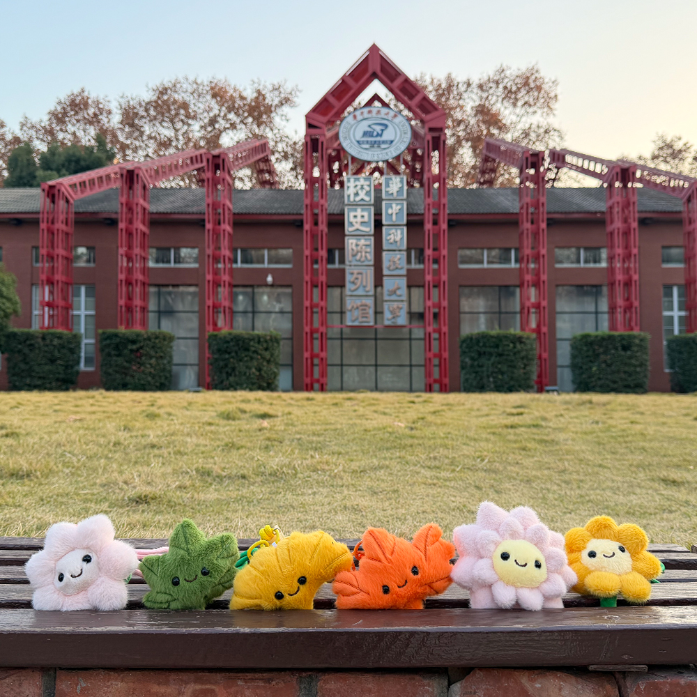 华科大毛绒植物挂件